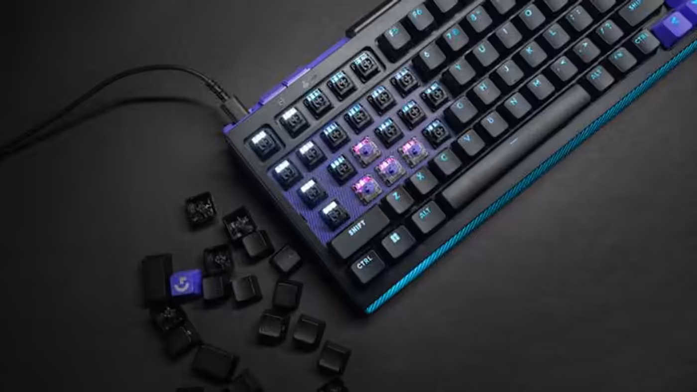 Keyboard featuring dual swap switch beds for analog and mechanical compatibility