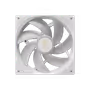 Thumbnail 13
