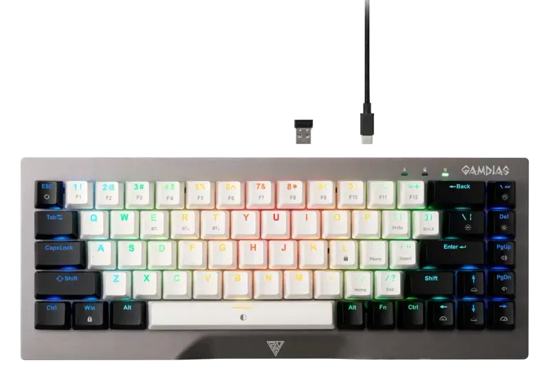 gamdias-hermes-m4-hybrid-wireless-gaming-keyboard-1000px-v0006.webp gamdias-hermes-m4-hybrid-wireless-gaming-keyboard-1000px-v0006.webp