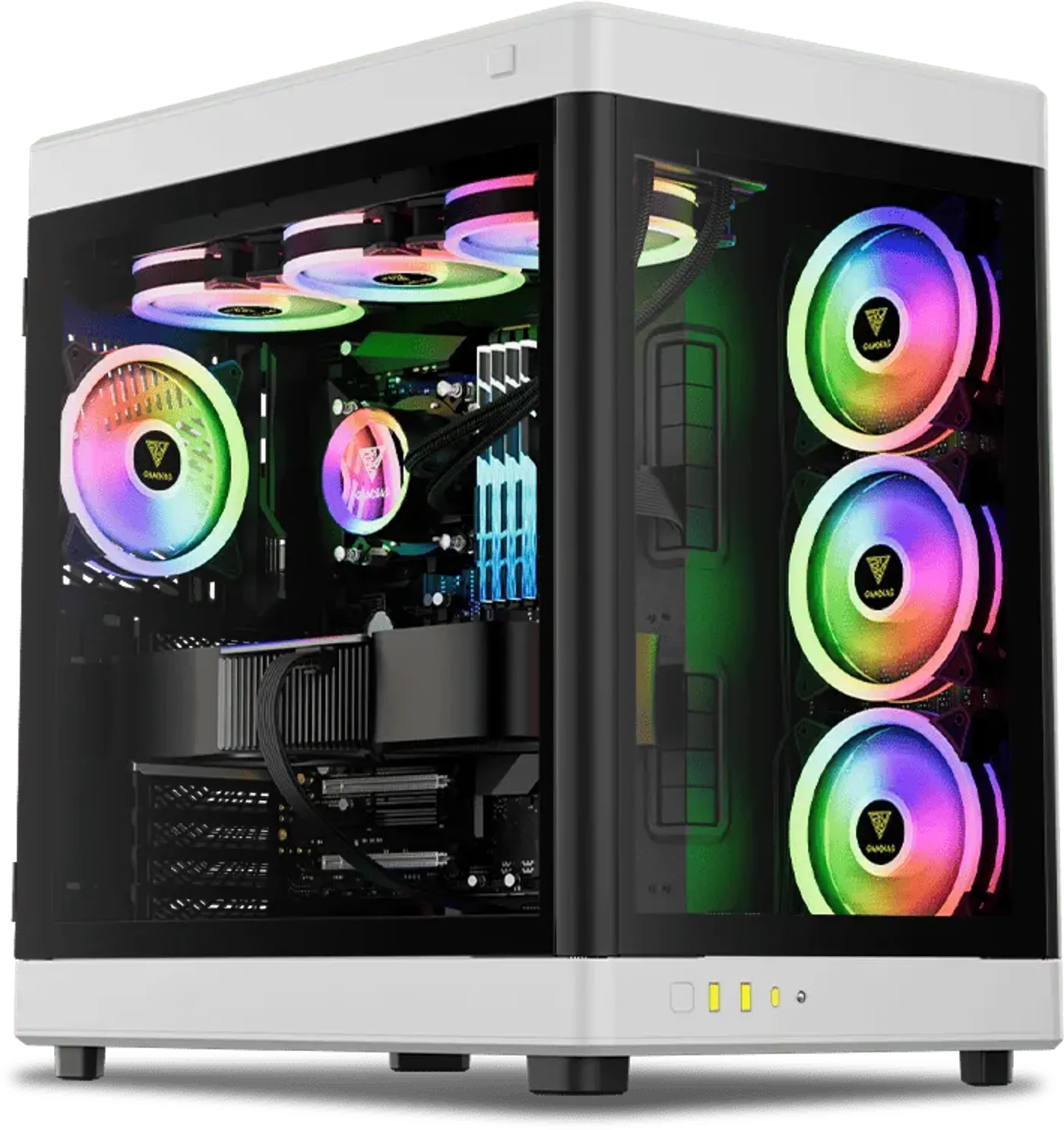 Panoramic glass display side of the GAMDIAS NESO P1 BW