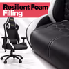 Gamdias Zelus M2 Gaming Chair Black/White – Recline 150° - image 3