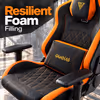 Gamdias Zelus M3 L Gaming Chair — Recline & Support - image 3