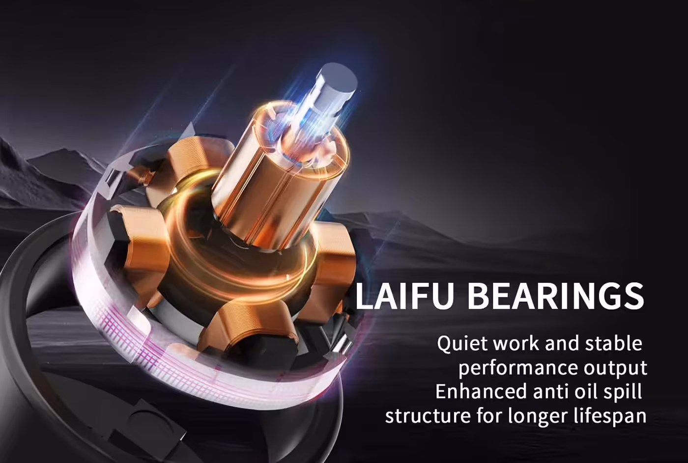 Internal layout of the durable LAIFU bearing showing anti-oil-spill construction