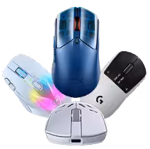 Mouse
