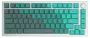 glorious-gpbt-premium-pbt-keycaps-rain-forest-1000px-v0008.webp