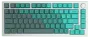 glorious-gpbt-premium-pbt-keycaps-rain-forest-2000px-v0008.webp