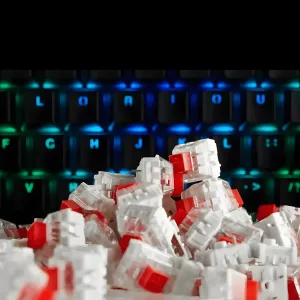 Glorious Kailh RED KAI-RED 120-Pack Mechanical Switches - image 5