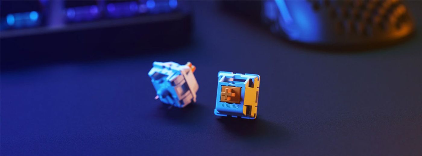 Glorious Panda tactile mechanical keyboard switches