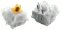 glorious-panda-mechanical-keyboard-switches-tactile-2000px-v0011.webp