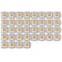 glorious-panda-mechanical-keyboard-switches-tactile-open-box-1000px-v0004.webp