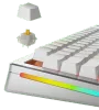 glorious-panda-mechanical-keyboard-switches-tactile-open-box-1000px-v0007.webp
