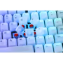 Thumbnail 15