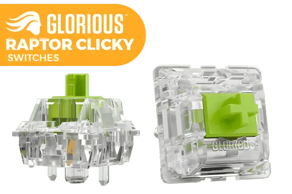glorious-raptor-clicky-switches-1800px-v001.webp