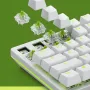 glorious-raptor-clicky-switches-for-mechanical-keyboards-for-gaming-2000px-v0006.webp