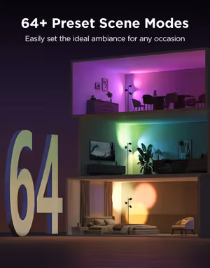 Gallery image 6