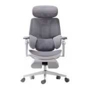 HBADA E3 Ultra 5.0 Ergonomic Office Chair (White) - image 7