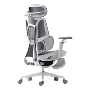 HBADA E3 Ultra 5.0 Ergonomic Office Chair (White) - image 14