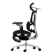 HBADA E3 Ultra 5.0 Ergonomic Office Chair (Black) - image 10