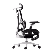 HBADA E3 Ultra 5.0 Ergonomic Office Chair (Black) - image 13