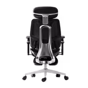 HBADA E3 Ergonomic Office Chair, 8D Lumbar, Recline - image 11