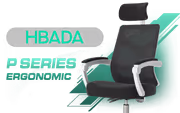 HBADA P Series Ergonomic Office Chair - HDNY164WM - image 1