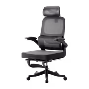 hbada-p1-pro-office-recliner-2560px-v1-0001_sml.avif