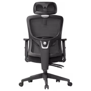 HBADA P5-Pro Black Office Chair With 2D Lumbar Support - image 4