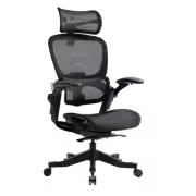 hinomi-h1-classic-v3-ergonomic-chair-2000px-v0001_sml.avif