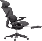 hinomi-h1-pro-v-web-sjizg6-1.avif
