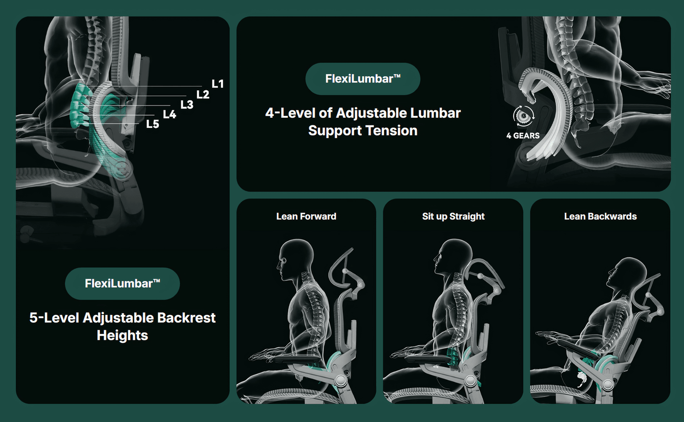 X-ray illustration highlighting 5-level lumbar support zones L1 to L5 and 4-level tension adjustment