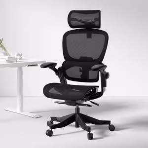 Gallery image 13