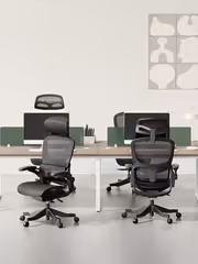 hinomi-h1cls-classic-office-mob-1600px-v0115.avif