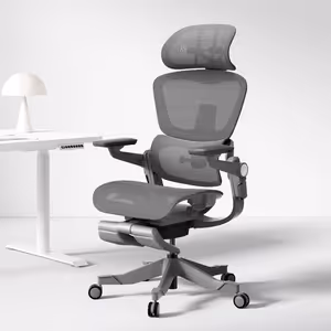 Gallery image 11