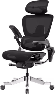hinomi-h2-pro-e-web-wu0s7u-1.avif