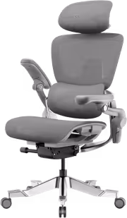 hinomi-h2-pro-e-web-wu0v5k-1.avif