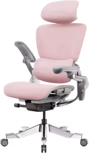 hinomi-h2-pro-e-web-wu0yfp-1.avif