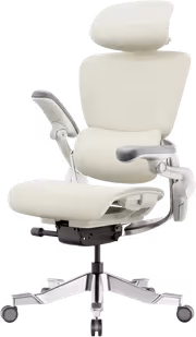 hinomi-h2-pro-e-web-wu11hg-1.avif