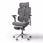 hinomi-x2pro-grey-side-5c87bcfb-0767-4cf1-be39-1600px-v0029.avif