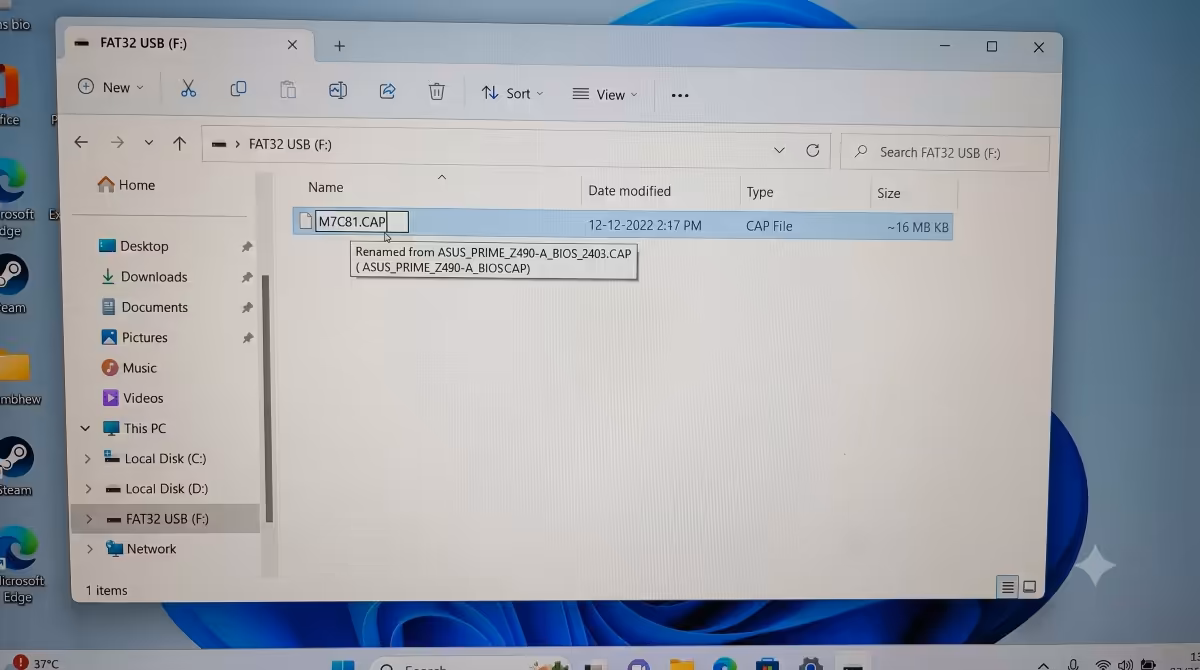 USB stick with renamed BIOS file