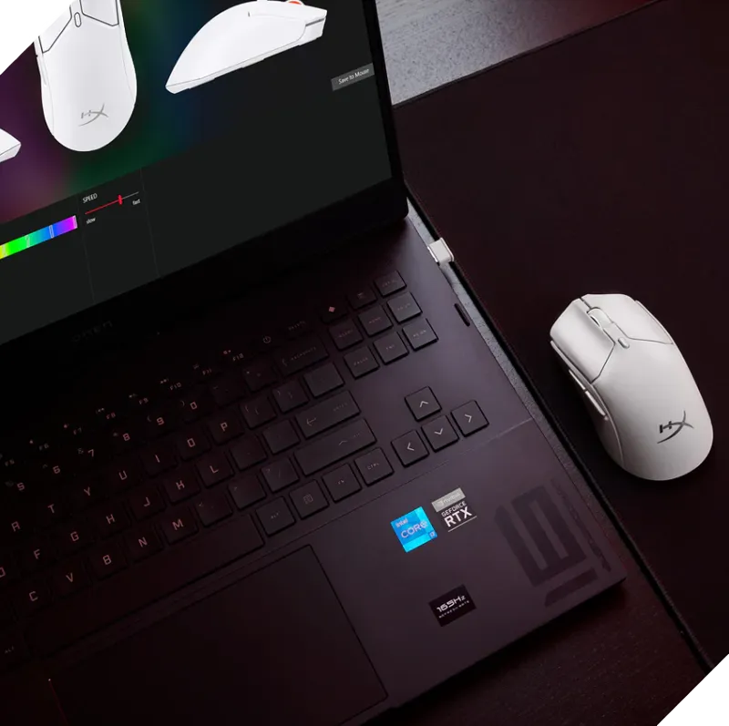 Software for customizing gaming mouse settings Software for customizing gaming mouse settings