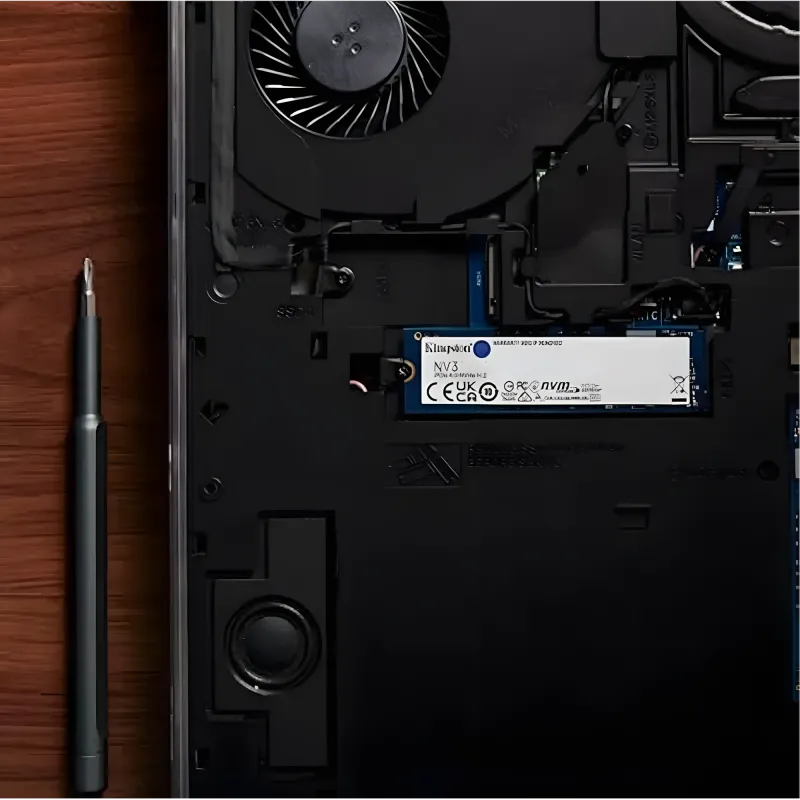kingston-1000g-nv3-nvme-ssd-2000px-v005.webp kingston-1000g-nv3-nvme-ssd-2000px-v005.webp