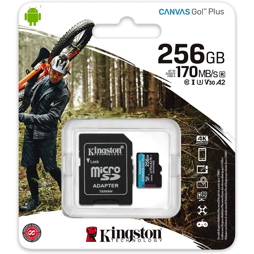 kingston-256gb-microsdxc-canvas-go-plus-memory-card-1000px-v4.jpg