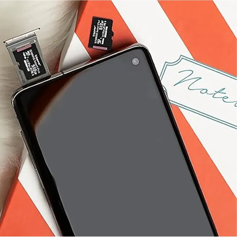 kingston-256gb-microsdxc-canvas-select-plus-memory-card-1000px-v0006.webp kingston-256gb-microsdxc-canvas-select-plus-memory-card-1000px-v0006.webp