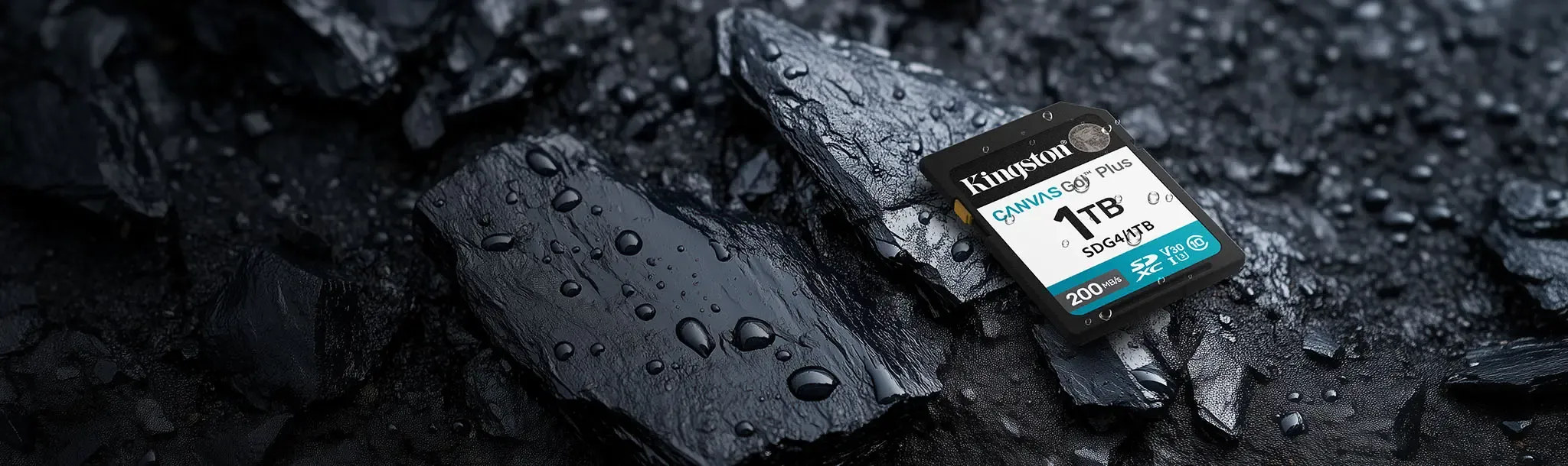 Rugged Kingston SD Card - Water & Temperature Resistant