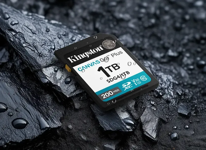 Durable Kingston SDXC Card for Extreme Conditions