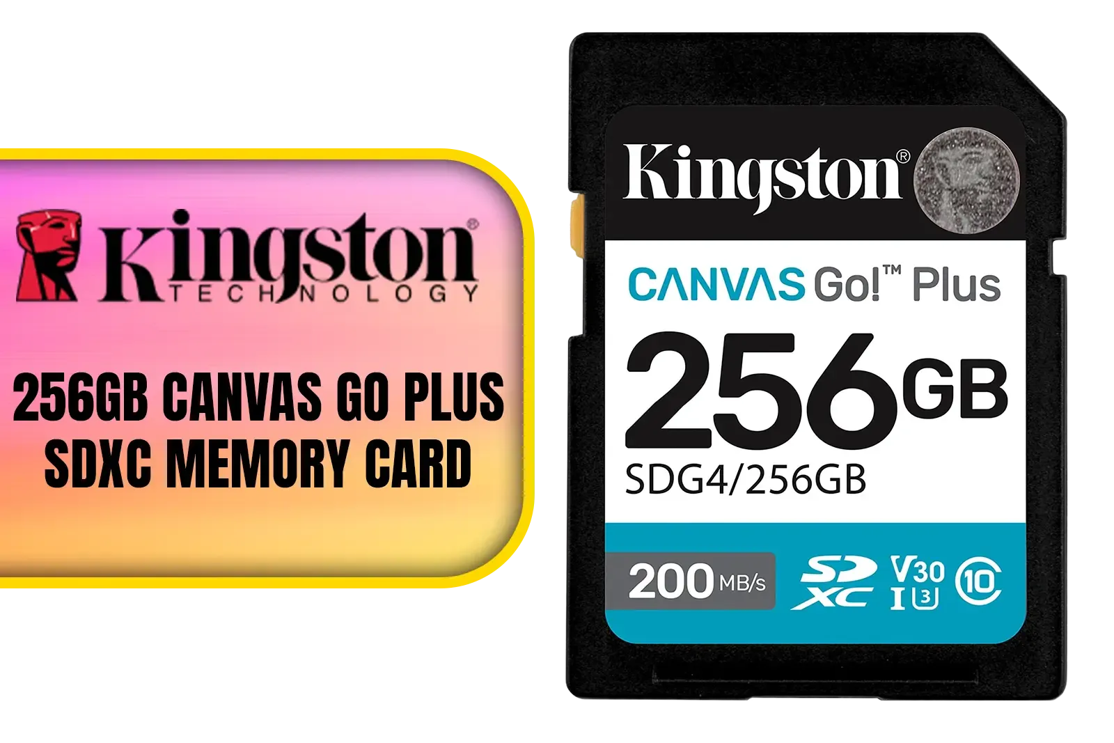 kingston-canvas-go-plus-256gb-sdxc-usb-main-1600px-v1.webp kingston-canvas-go-plus-256gb-sdxc-usb-main-1600px-v1.webp