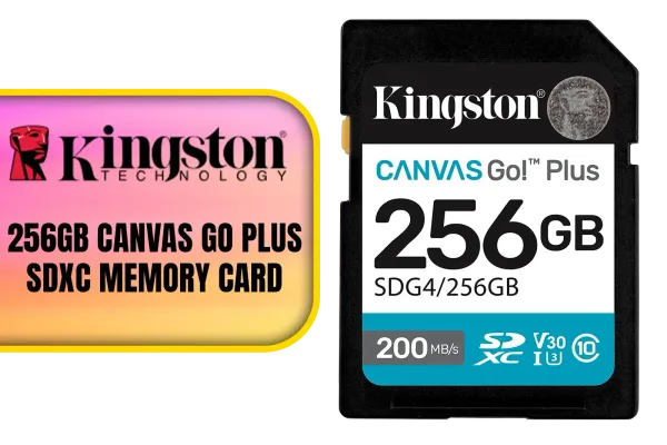 kingston-canvas-go-plus-256gb-sdxc-usb-main-1600px-v1.webp kingston-canvas-go-plus-256gb-sdxc-usb-main-1600px-v1.webp
