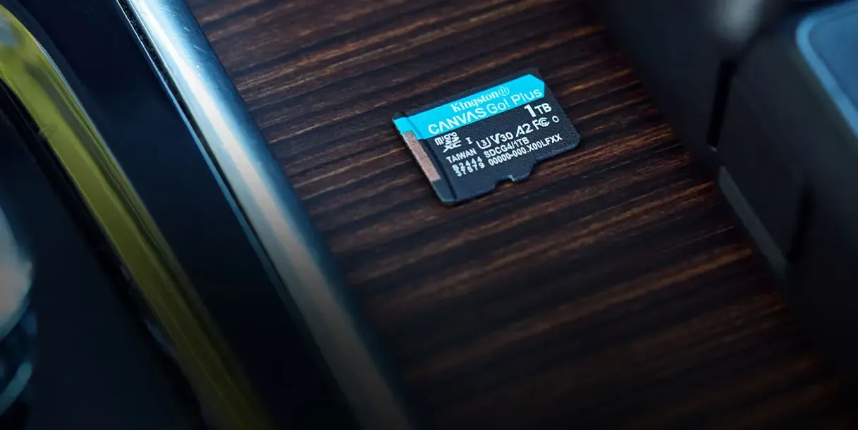 Kingston Canvas Go Plus 128GB MicroSDXC Memory Card - High-Speed Storage