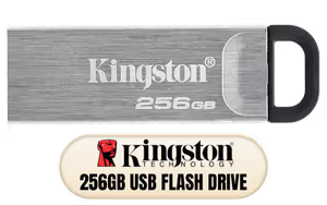 Kingston DataTraveler Kyson 256GB Flash Drive - Image 1