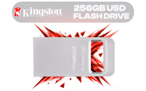 Kingston DataTraveler Micro DTMC3G2 256GB USB 3.2 Flash Drive - image 1